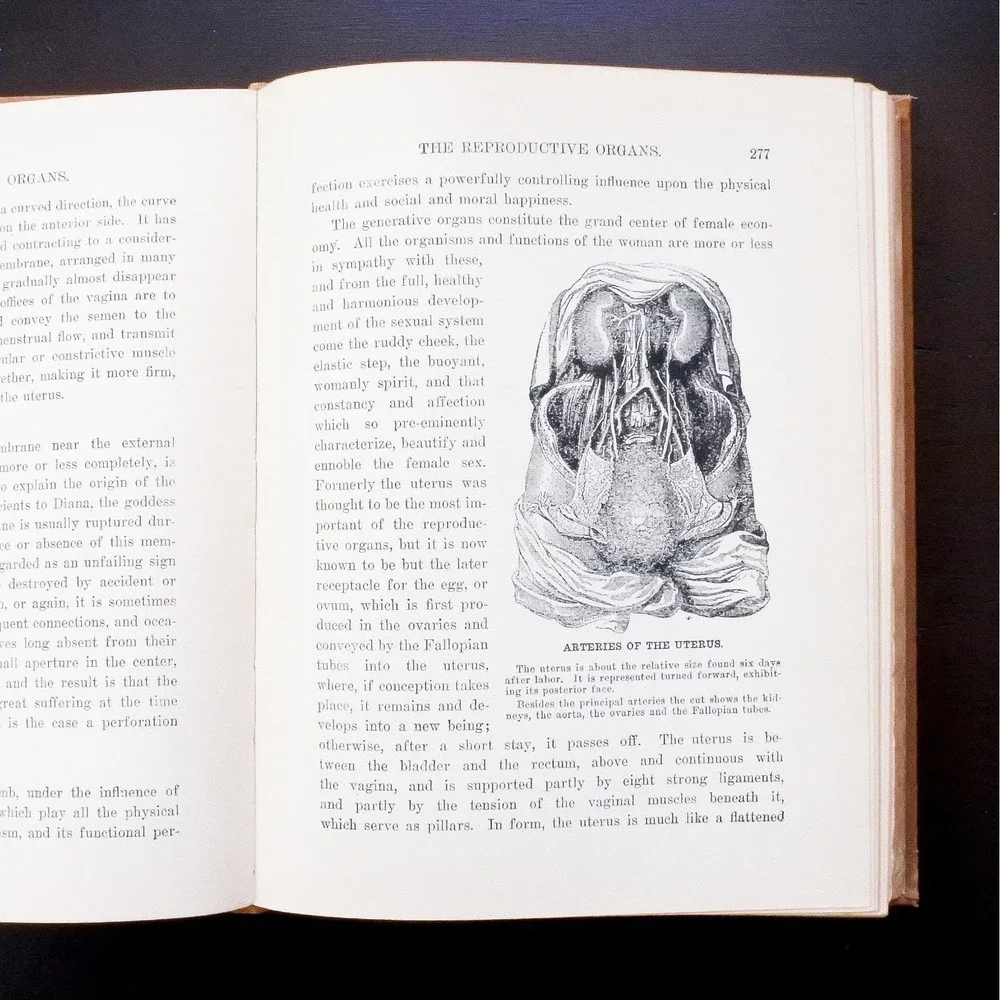 Antique First Edition 1904 Vivilore Pathway to Mental and Physical Perfection